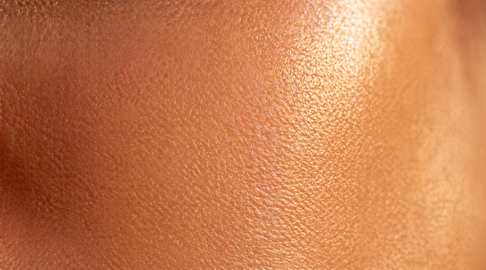 Textura de piel sana, dermis hidratada con síntesis activa de colágeno